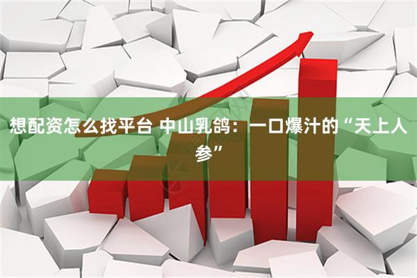 想配资怎么找平台 中山乳鸽：一口爆汁的“天上人参”